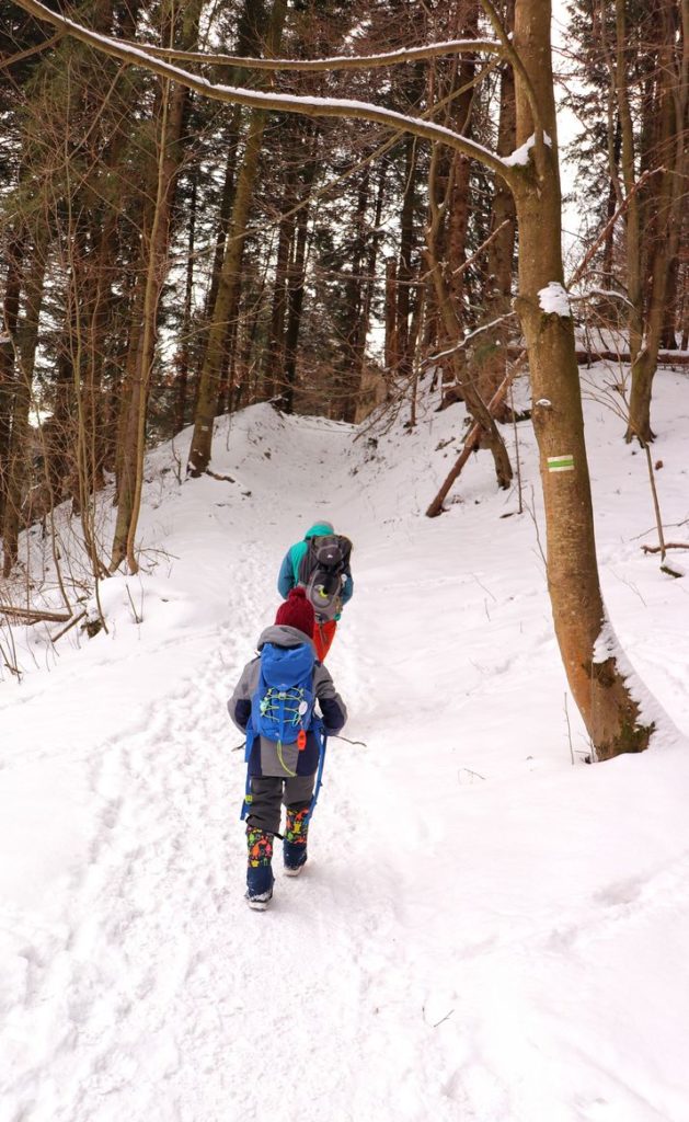 Dziecko z tatą na zielonym szlaku na Sokolicę, pokryte śniegiem podejście, droga leśna