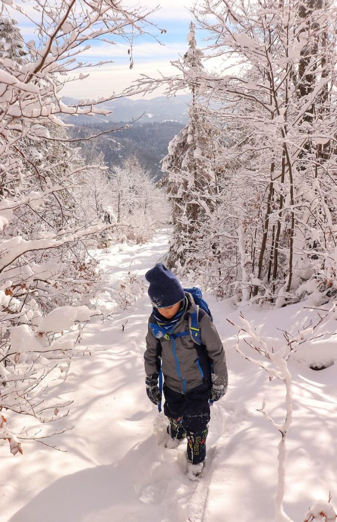 Dziecko, śnieg, droga leśna, ośnieżone drzewa