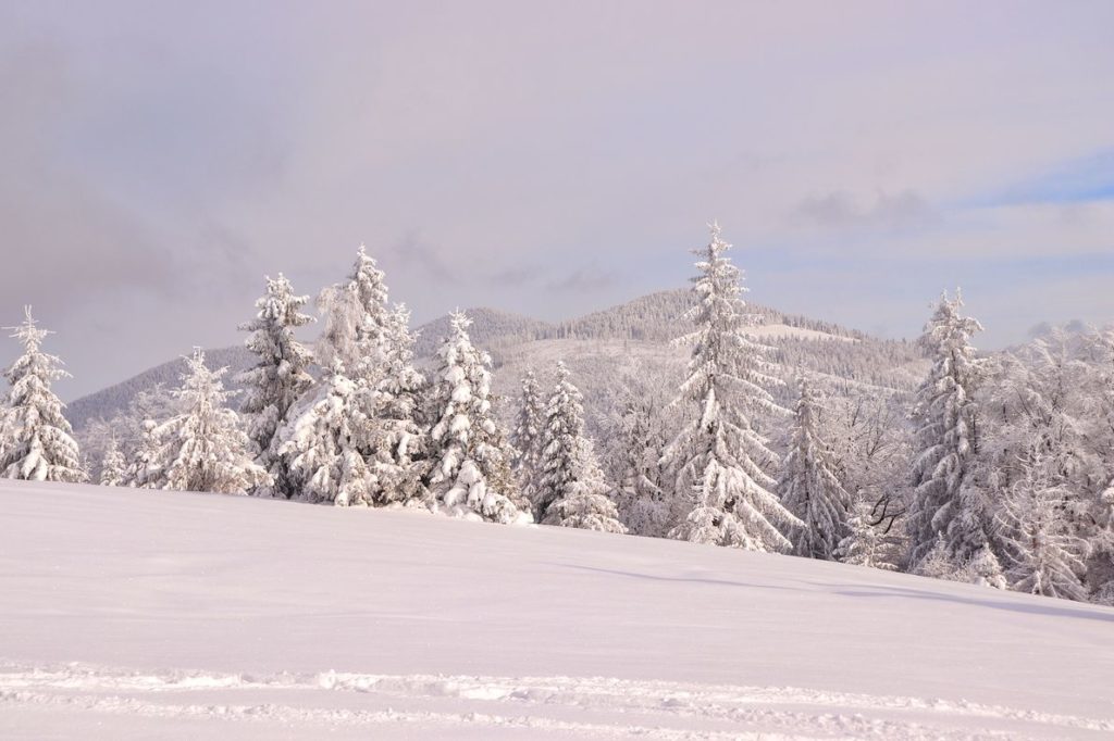Pokryta śniegiem Polana Sucha Góra, niebieskie niebo