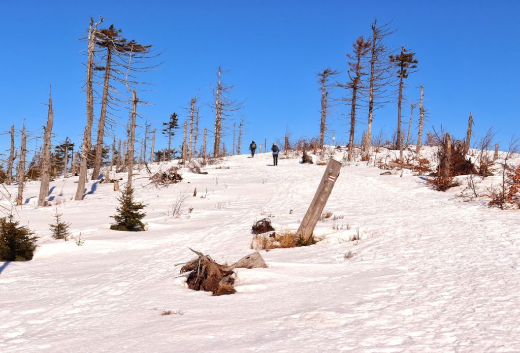 Pokryte śniegiem podejście na Malinowską Skałę na czerwonym szlaku, w oddali turyści, niebieskie niebo