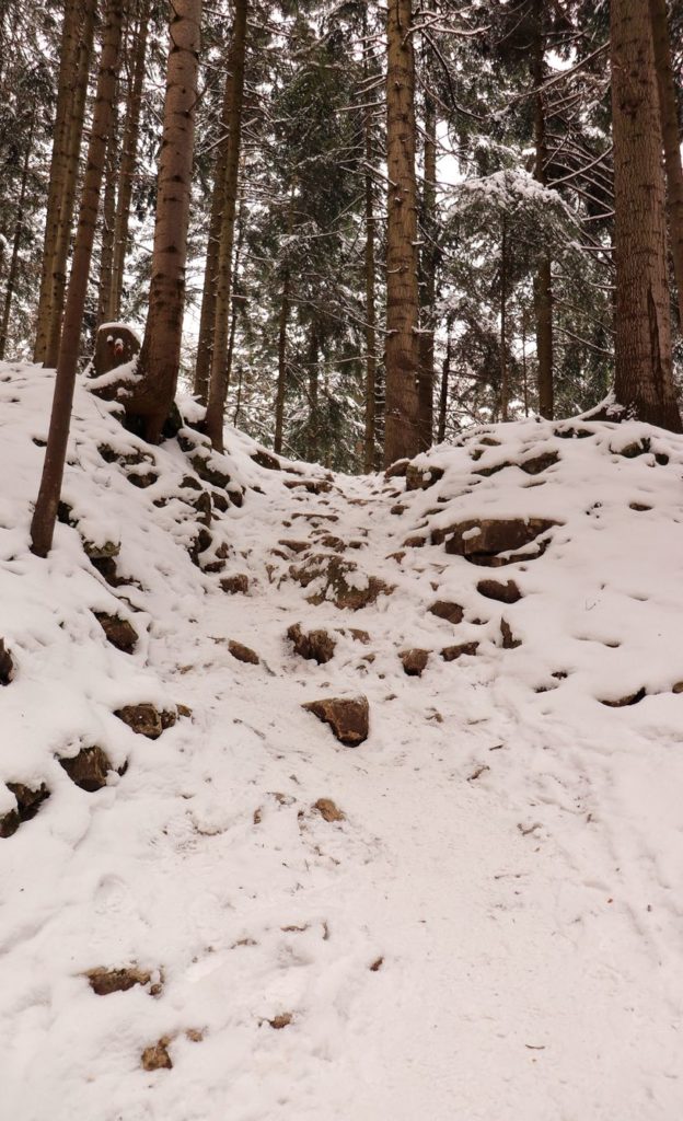 Skalne podejście pokryte śniegiem na zielonym szlaku prowadzącym do Przełęczy Sosnów, ciemny las