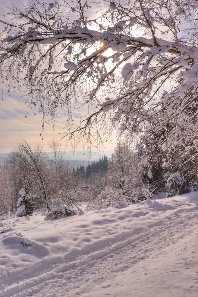 Szeroka, zaśnieżona dróżka na niebieskim szlaku idącym z Rajczy, kolorowe niebo