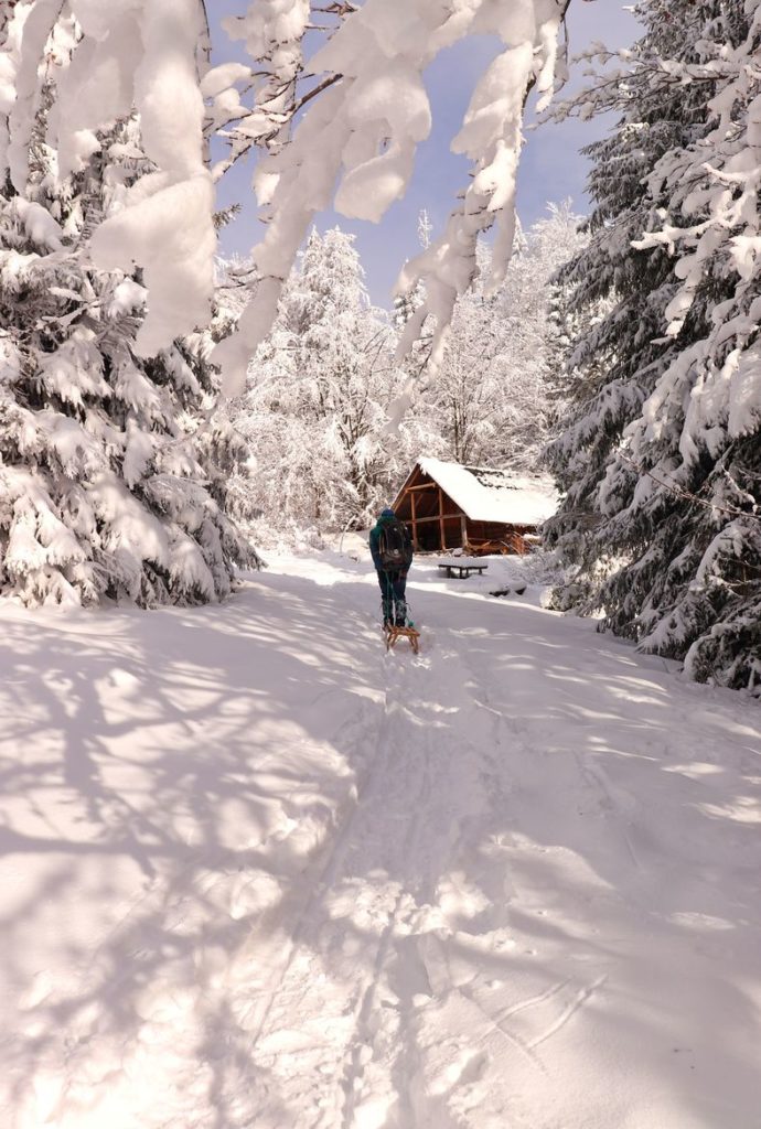 Szeroka, zaśnieżona droga leśna, turysta idący do drewnianej chaty stojącej w głębi lasu