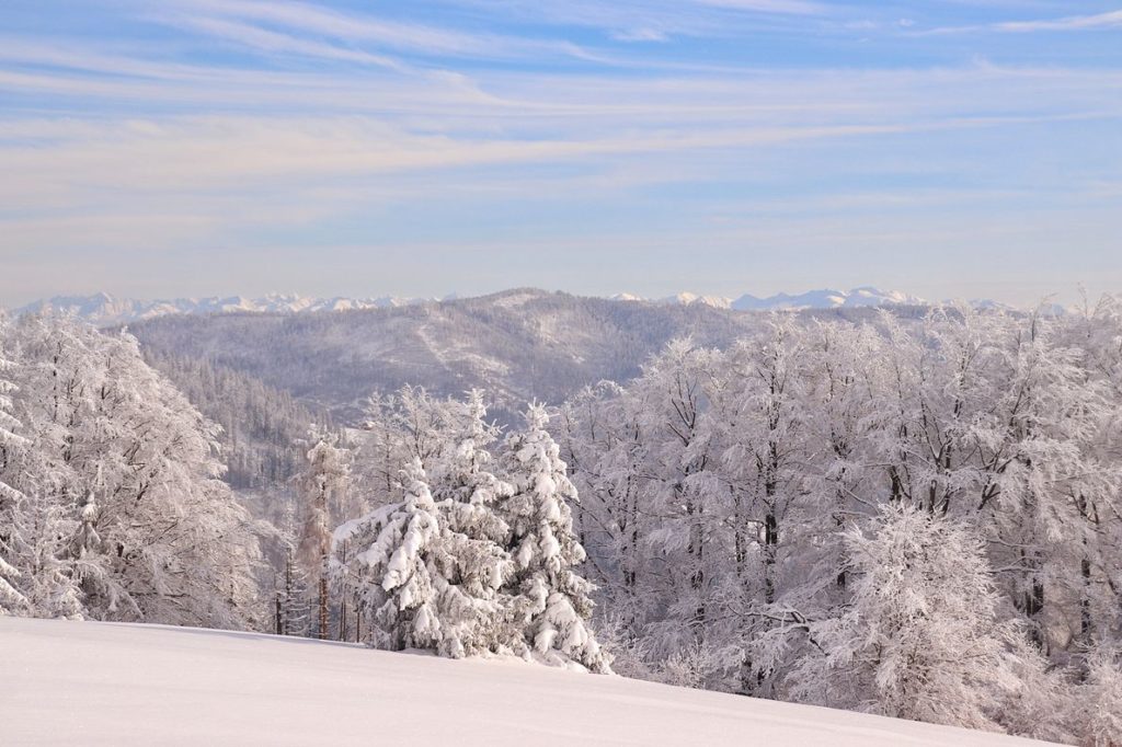 Tatry widziane z Polany Sucha Góra w Beskidzie Żywieckim, zimowa sceneria
