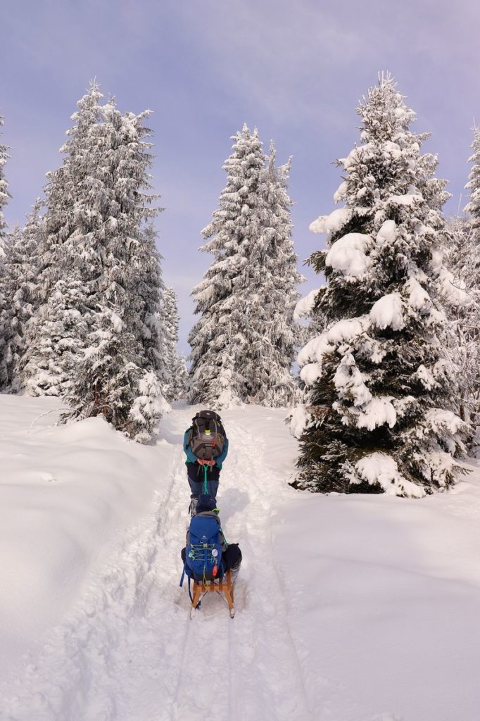 Turysta ciągnący dziecko na sankach w stronę Polany Sucha Góra, pokryte śniegiem drzewa