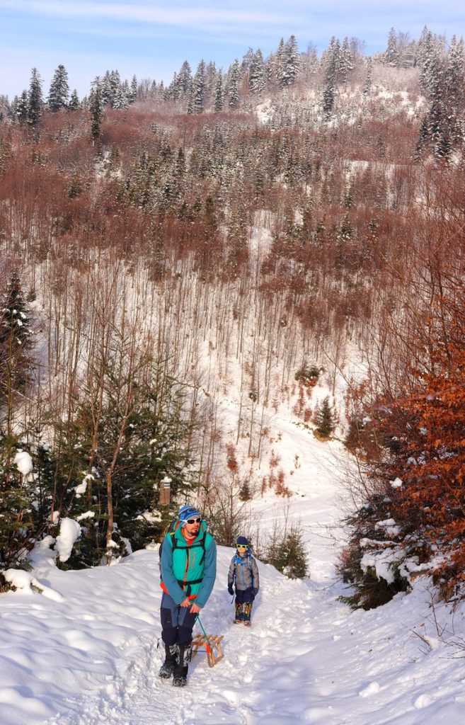 Turysta ciągnący sanki, dziecko, podejście na niebieskim szlaku z Rajczy na Halę Boraczą, piękny, zimowy poranek