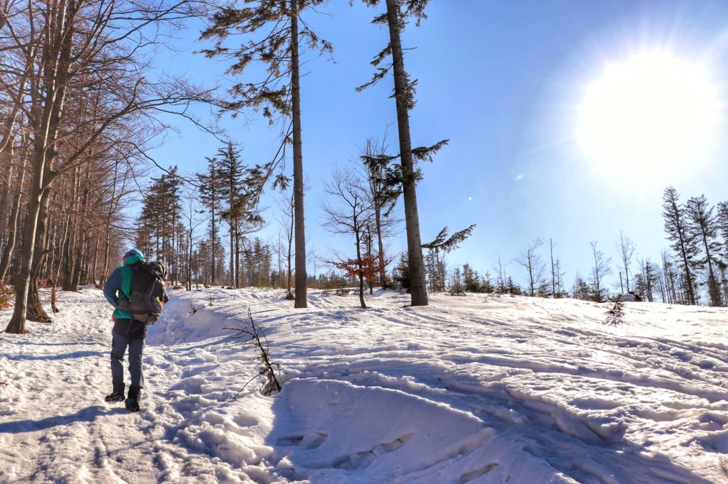 Turysta idący czerwonym szlaku ze Szczyrku zimą, słońce, śnieg