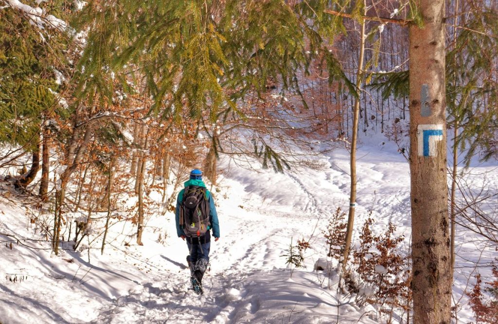 Turysta, miejsce skrętu w prawo niebieskiego szlaku idącego na Halę Boraczą, zimowe przedpołudnie