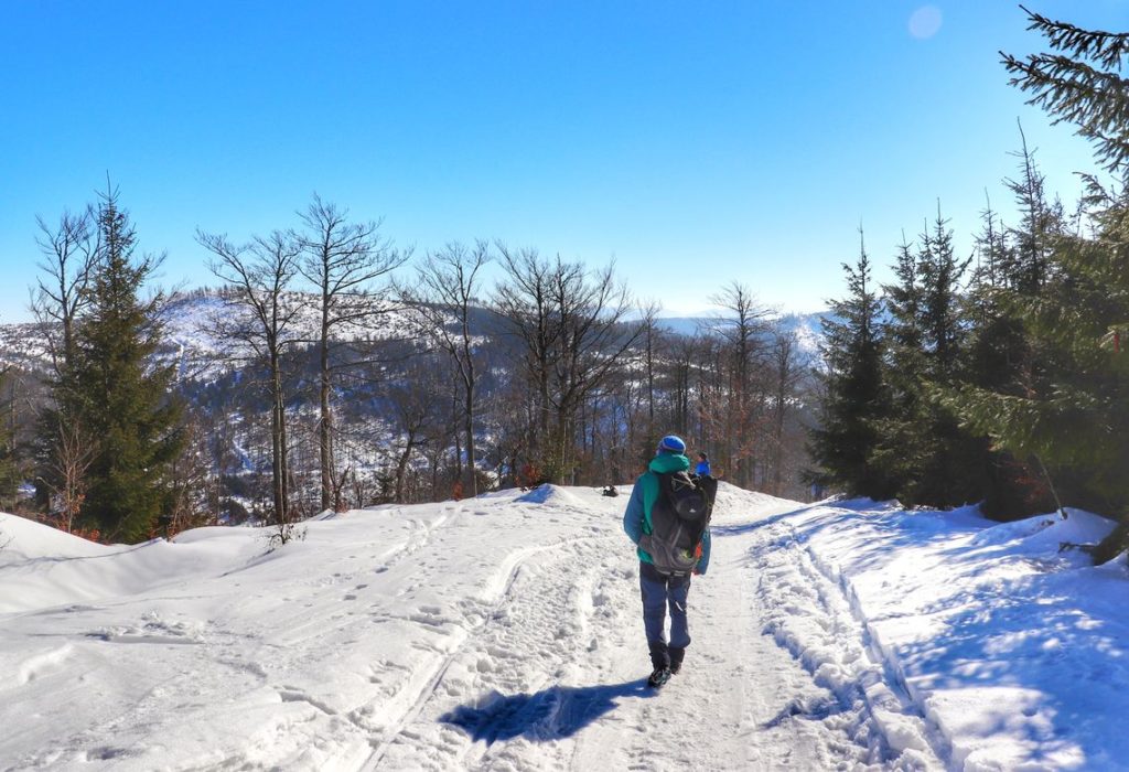 Turysta na czerwonym szlaku w okolicy szczytu Malinów, szeroka, pokryta śniegiem ścieżka, słoneczny, zimowy dzień
