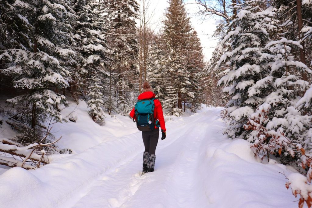 Turystka idąca szeroką, zaśnieżoną drogą prowadzącą między drzewami