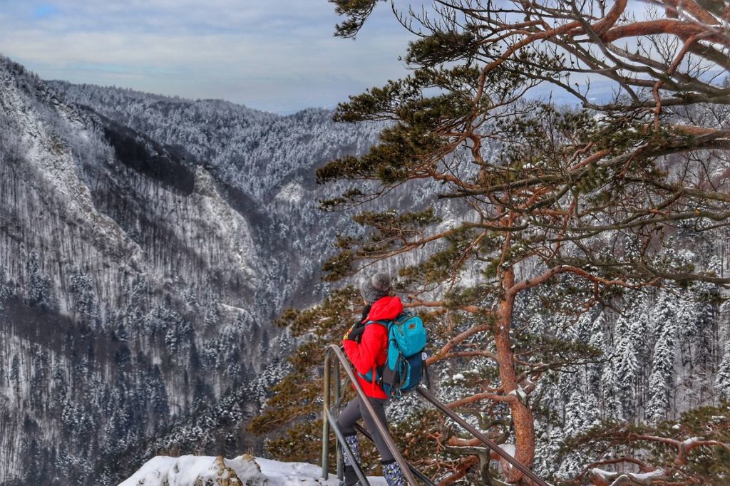 Turystka podziwiająca widoki z tarasu widokowego na Sokolicy, metalowe barierki, zima - drzewa pokryte śniegiem