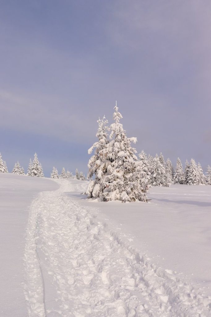 Zaśnieżona Polana Sucha Góra, wydeptana ścieżka, pokryte białym puchem drzewa, błękitne niebo