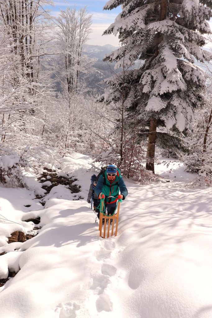 Zadowolony turysta niosący sanki, idący pod górę w kierunku Chaty leżącej poniżej Polany Sucha Góra, zima, duże ilości zalegającego śniegu na trasie oraz drzewach