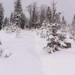 Zasypane śniegiem podejście na Halę Baranią od Kamesznicy