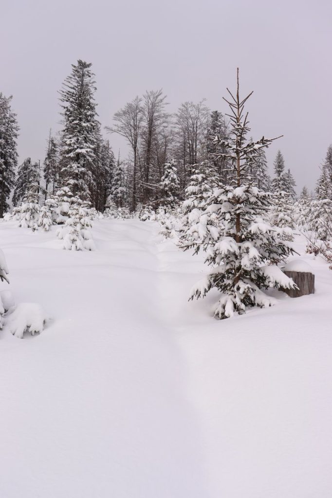 Zasypane śniegiem podejście na Halę Baranią od Kamesznicy