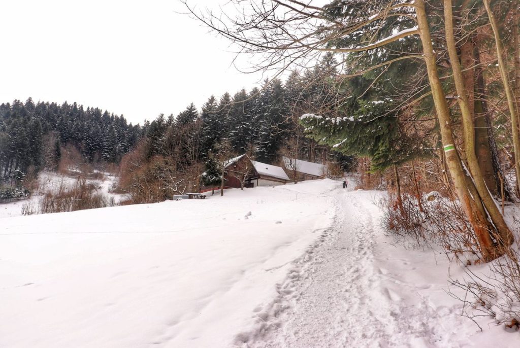 Zielony szlak idący do Przełęczy Sosnów w Pieninach, wydeptana ścieżka na szlaku, w oddali widoczny dom -stojący na górze Polany pod Natonia