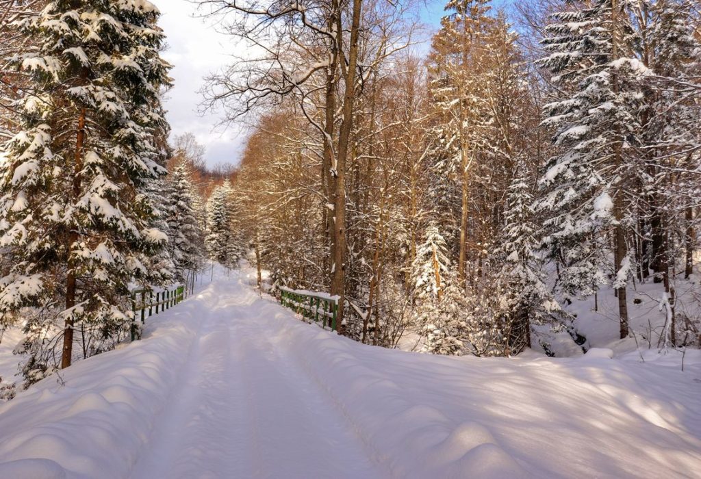 Zima, droga pokryta śniegiem, ośnieżone drzewa
