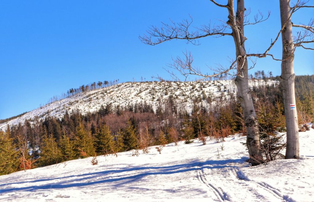 Zima na czerwono - niebieskim szlaku idącym do Nad Przełęczą Malinowską