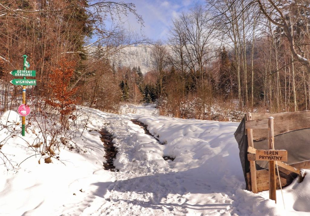Zima na niebieskim szlaku w Rajczy, miejsce zejścia z wygodnej, szerokiej drogi, zielone znaki