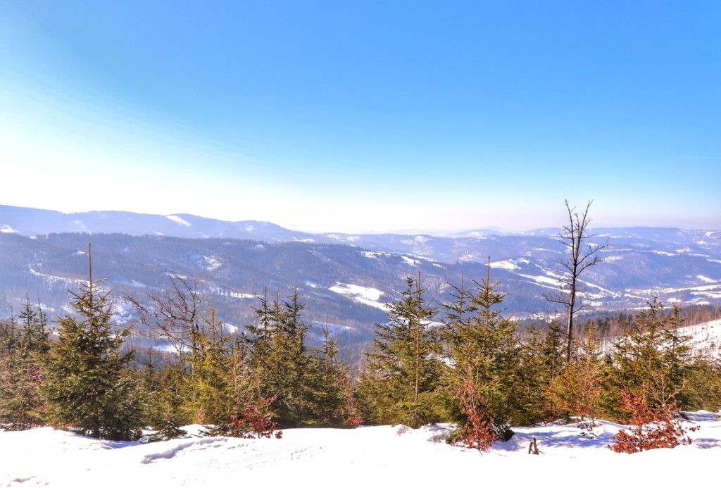 Zimowy krajobraz - widok na Beskid, okolice szczytu Malinów na czerwonym szlaku na Malinowską Skałę
