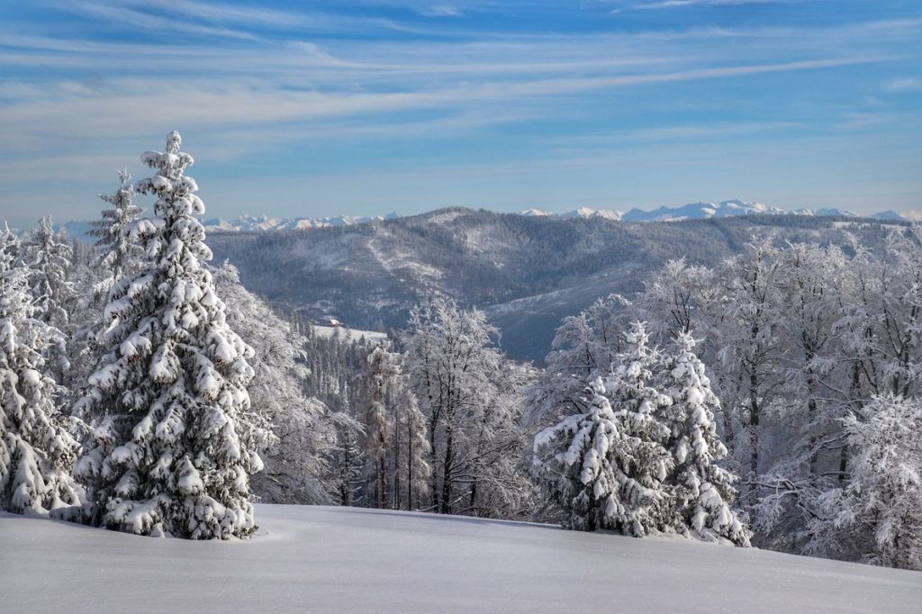 Zimowy widok na Tatry z rozległej Polany Sucha Góra w Beskidzie Żywieckim