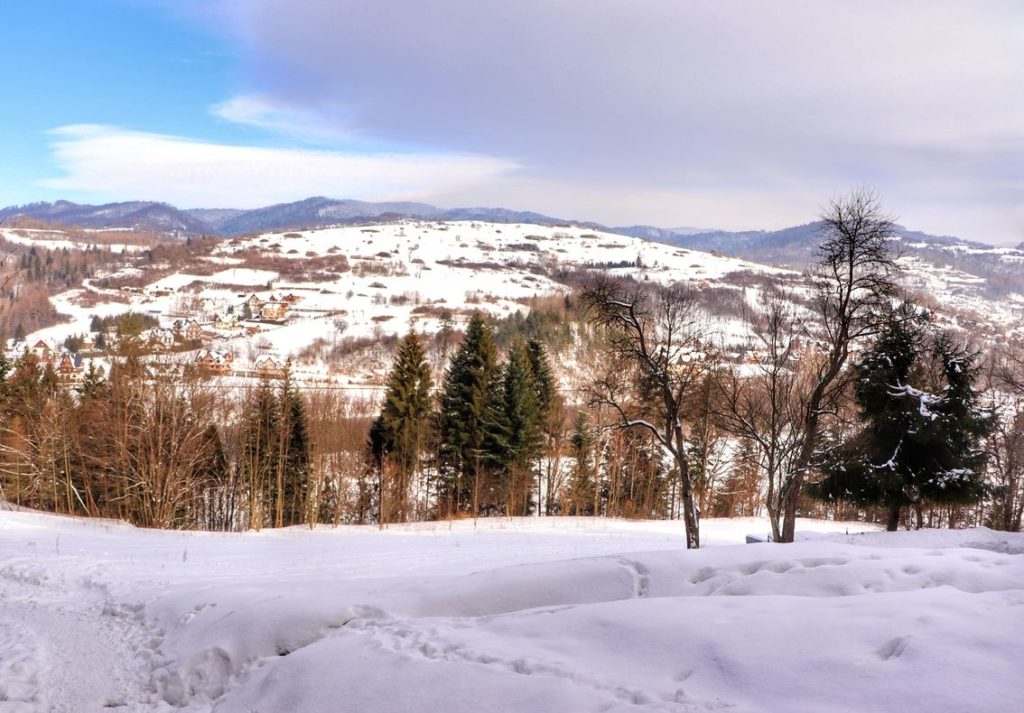 Zimowy widok rozciągający się z zielonego szlaku na Sokolicę z Polany – Pod Natonia