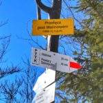 Żółta tablica z napisem - Przełęcz pod Malinowem - 1005 m n.p.m.