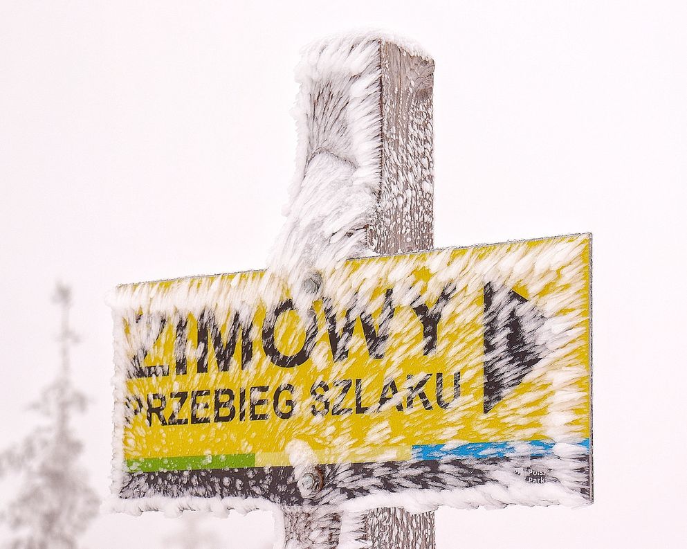 Żółta tabliczka w Karkonoszach z napisem ZIMOWY PRZEBIEG SZLAKU