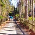 Asfaltowa droga na niebieskim szlaku w Szklarskiej Porębie prowadząca obok znajdującego się po prawej stronie ulicy muzeum - domu Wlastimila Hofmana, płot, w oddali turyści