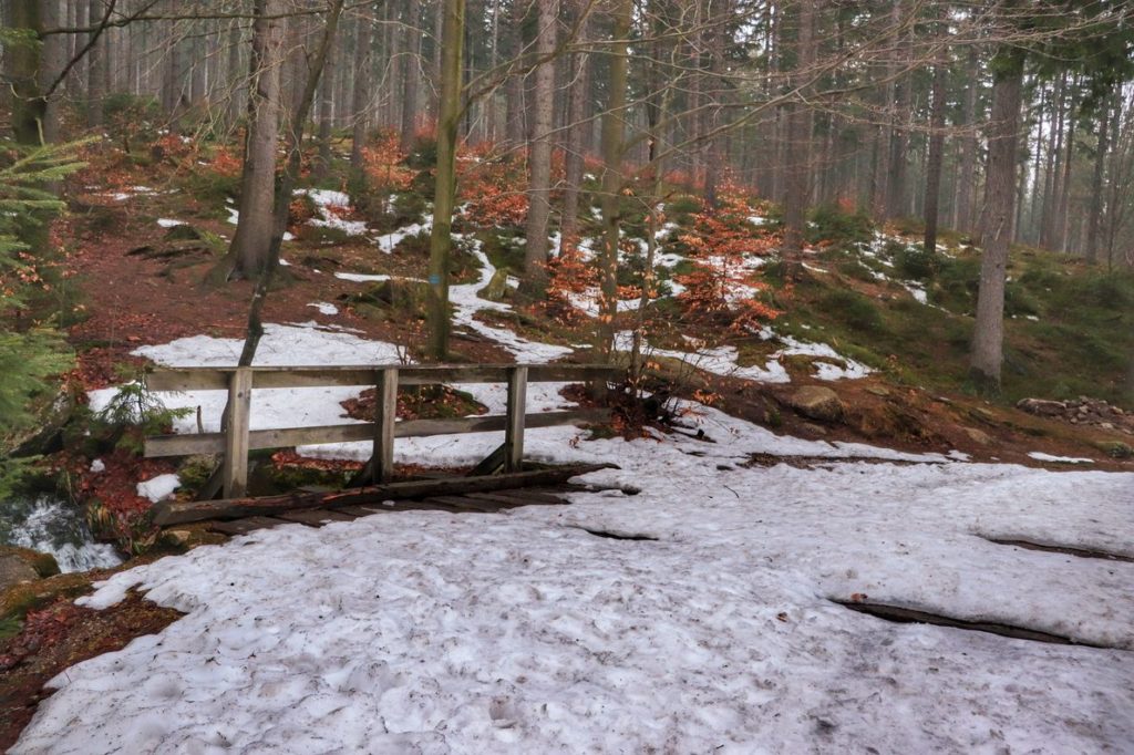 Las, drewniany most pokryty śniegiem na żółtym szlaku w Szklarskiej Porębie