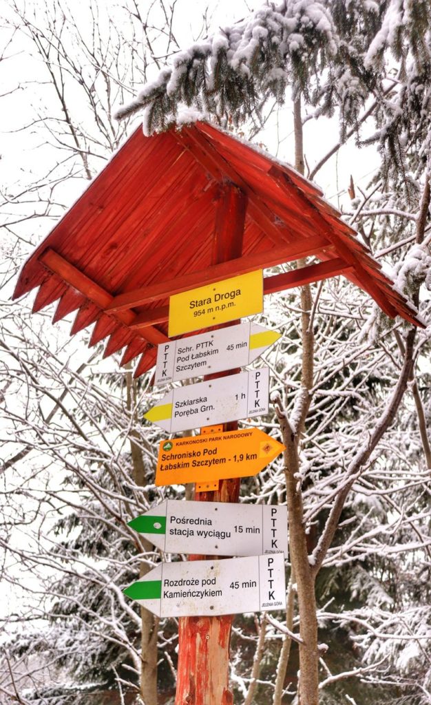 Drewniany słup - żółta tabliczka z napisem STARA DROGA 954 M.N.P.M. skrzyżowanie szlaków
