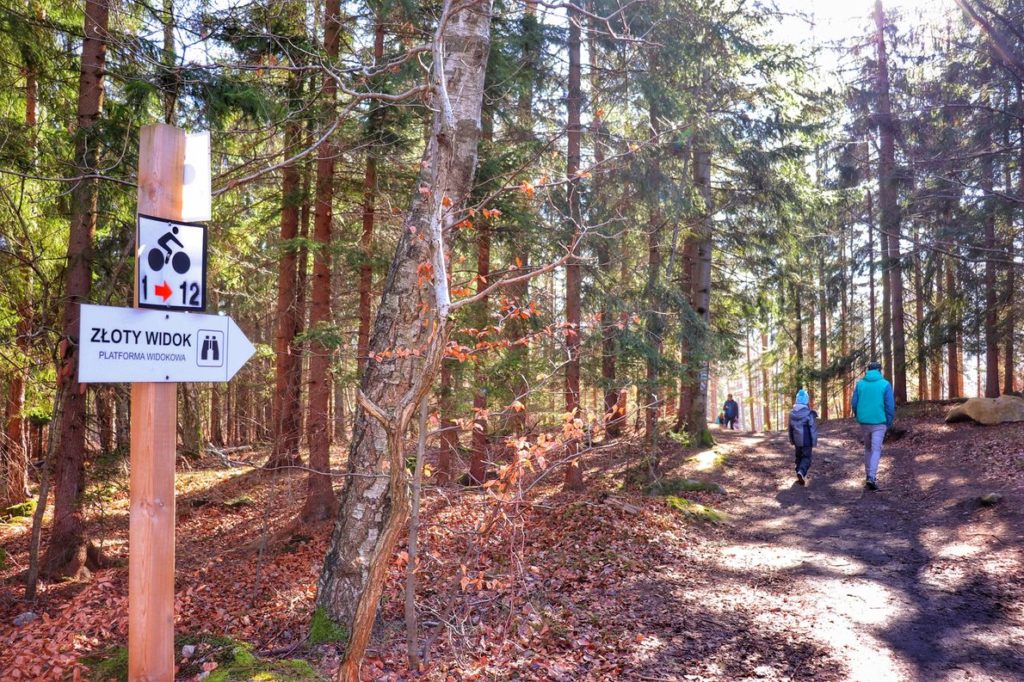 Drewniany słup z białą tabliczką w kształcie strzałki z napisem Złoty Widok, droga leśna, turyści