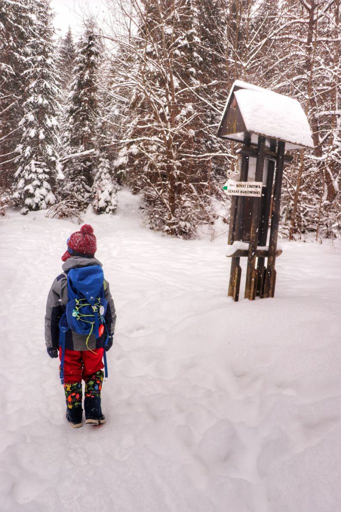 Dziecko na zielonym szlaku idącym w kierunku szczytu Wysoka, zima, leśna ścieżka