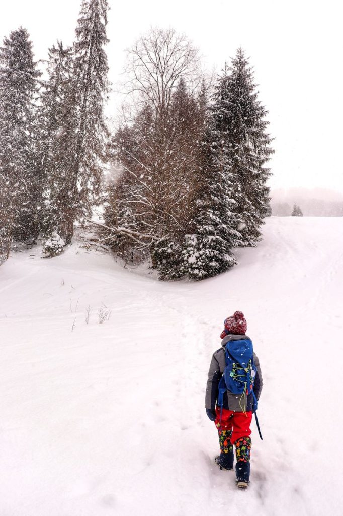 Dziecko w Pienińskim Parku Narodowym, śnieg, drzewa