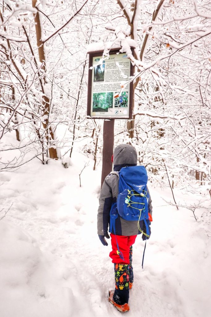 Dziecko w zimowym Rezerwacie Wysokie Skałki w Pieninach Małych, zima, tablica informacyjna, leśna śnieżka