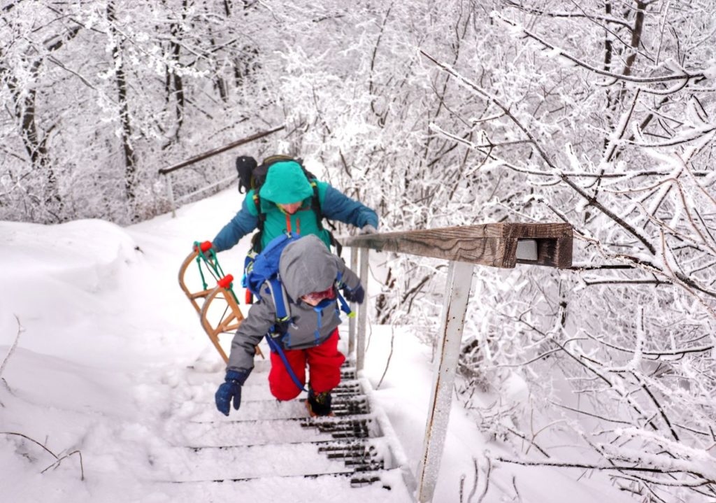 Dziecko z tatą niosącym w ręce drewniane sanki, schody na Wysoką w Pieninach (niebieski szlak)