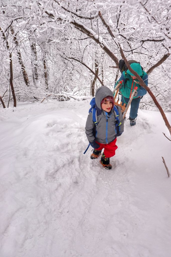 Dziecko z tatą pokonujące ostatnie, strome podejście na niebieskim szlaku na Wysoką w Pieniach zimą, leśna ścieżka