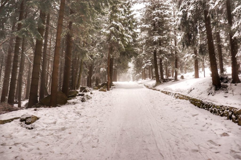 Karkonoski Park Narodowy - szeroka, zaśnieżona droga leśna