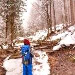 Las, zima na żółtym szlaku idącym do schroniska pod Łabskim Szczytem, dziecko