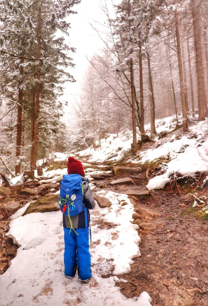 Las, zima na żółtym szlaku idącym do schroniska pod Łabskim Szczytem, dziecko