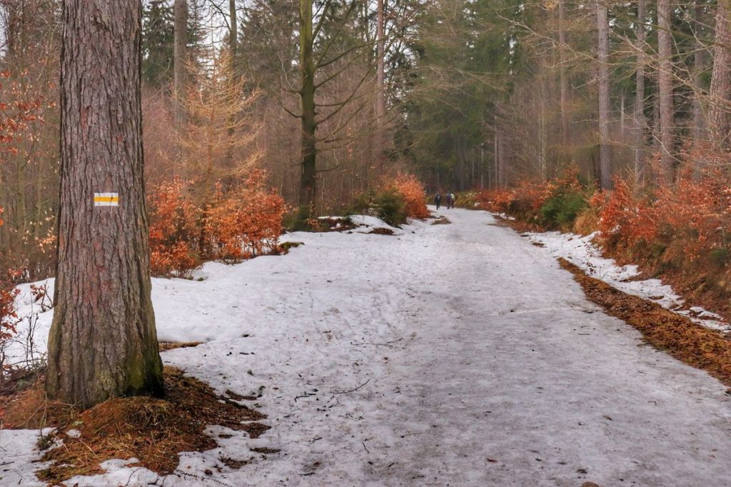 Leśna, zaśnieżone droga na żółtym szlaku prowadzącym do Schroniska pod Łabskim Szczytem, w oddali widoczni turyści