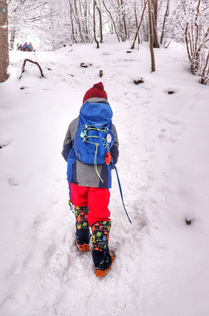 Mały turysta, dziecko w rakach idące niebieskim szlakiem na Wysoką w Pienińskim Parku Narodowym, las, zimowy dzień