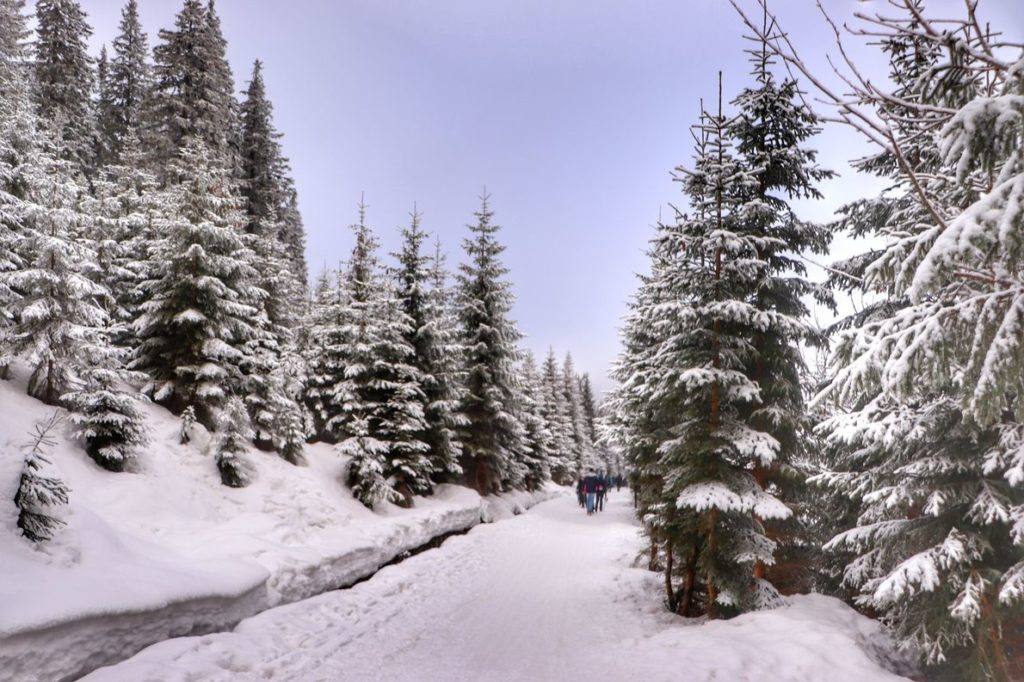 Szeroka, pokryta śniegiem droga w Karkonoskim Parku Narodowym, niebieskie niebo
