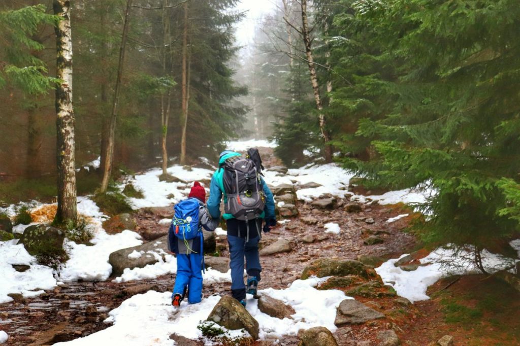 Szeroka ścieżka leśna, zima - miejscami zalega na ścieżce śnieg, turysta z dzieckiem, mglisty dzień