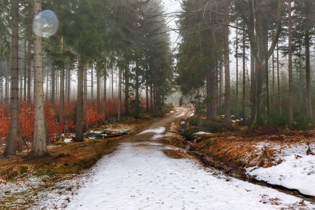 Szklarska Poręba - leśna droga, śnieg, mgła, wilgoć