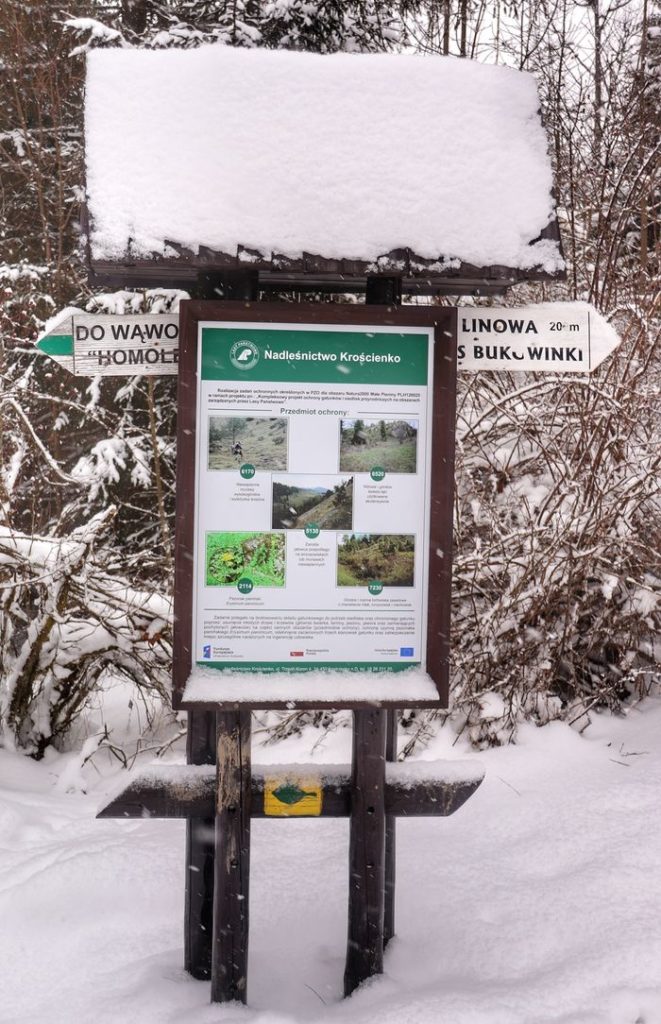 Tablica informacyjna na zielonym szlaku w Małych Pieninach, zielony szlak wskazujący drogę do Wąwozu Homole, zimowe popołudnie