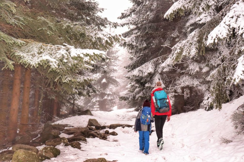Turystka z dzieckiem, leśna ścieżka w Karkoszach