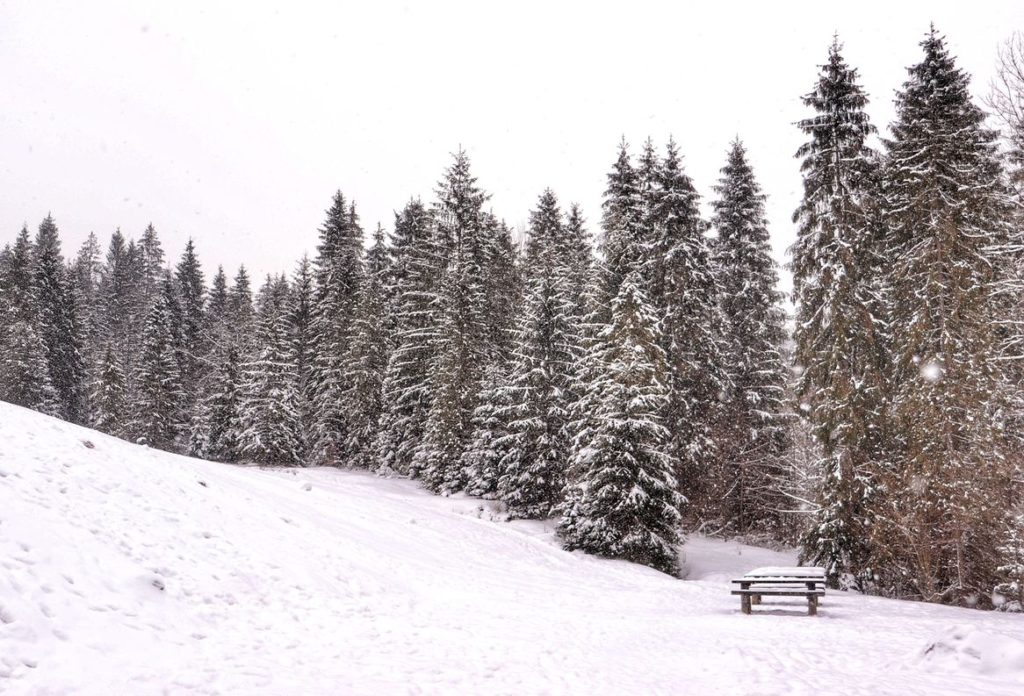 Zaśnieżona Dubantowska Polana, drewniane stoły z ławkami pokryte warstwą śniegu, zima
