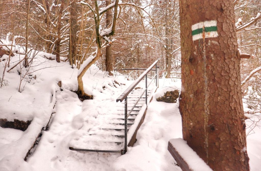 Zielony szlak oznaczony na drzewie idący przez Wąwóz Homole, metalowe schody z drewnianymi barierkami, las