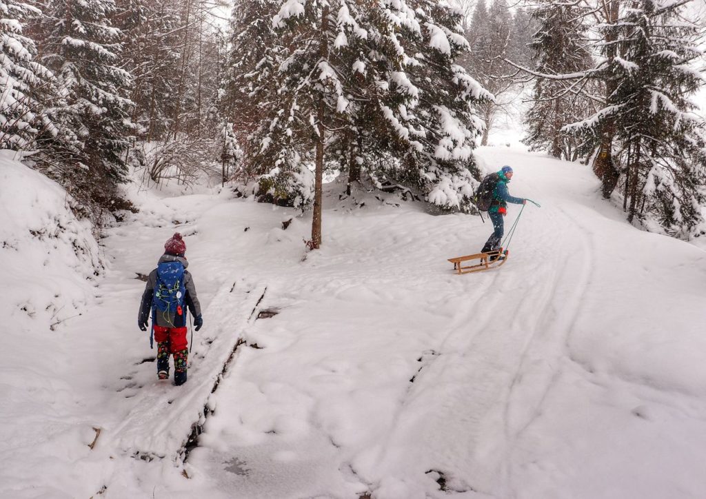 Zima, okolice Polany pod Wysoką w Małych Pieninach, dziecko idące przez zaśnieżoną kładkę, turysta z drewnianymi sankami, las